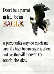 Quotes Don T Be A Parrot In Life Be An Eagle A Parrot Talks Way Too Much And Can T Fly High But An Eagle Is Silent And Has Quotes Eagles Quotes Wisdom