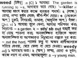 Bangla To English Meaning Of Weed Bdword Com