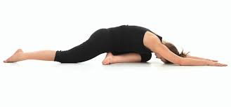 Yoga poses 2 ppl : 10 Amazing Back Pain Yoga Poses For Bodybuilding By Mr Karan Medium