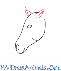 Follow along to learn how to draw a horse easy, step by step art tutorial. How To Draw A Mustang Horse