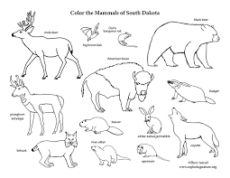 When the sculpture is completed, crazy horse will sit astride his mount, pointing over his stallion's head to the sacred black hills. South Dakota Habitats Mammals Birds Amphibians Reptiles