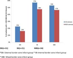 Clinical Demographic And Neuroradiological Features Of Different Types Of Cerebral Border Zone Infarcts In North West India Sciencedirect Polish your personal project or design with these blue border transparent png images, make it even more personalized and more attractive. cerebral border zone infarcts