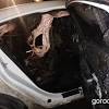 Иллюстрация к новости по запросу Mazda (Gorod48)