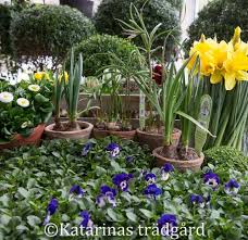 Catherine S Garden Garden Crafts Outdoor Areas Garden