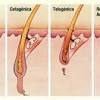 However, the rate of hair growth slows as you age, according to the american academy of dermatology 1. 1