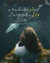 Pin On Urdu Poetry