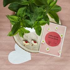 La fête des mères, c'est l'occasion de dire aux mamans à quel point on les aime et de les remercier des idées cadeaux pour votre maman. La Pousse Verte Coffret Cadeau Special Fete Des Meres Plante Et Bijoux