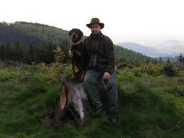 Image result for sedmihradský honič