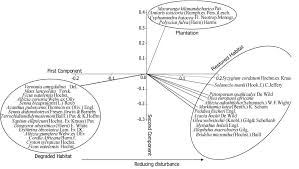 Image result for Peddiea fischeri