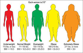 studious bmi chart overweight obese 2019