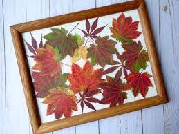 DIY Pressed Leaf Art in a Frame - Single Girl's DIY