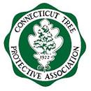 Image result for ctpa.org logo