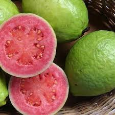 372 Begenme 6 Yorum Instagram Da Ali Kurt Meyvefidanim Guava Meyvesi Fidani Adet Fiyati 75 Kapida Odeme Yontemi I In 2020 Guava Fruit Guava Jam Guava Benefits