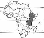 Image result for Zanthoxylum usambarense