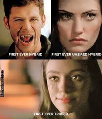 From Klaus, the first Hybrid… to Hayley, the first Unsired Hybrid… to Hope,  the first Tribrid ❤️ A family of firsts, bound by love, sacrifice, and  legacy.