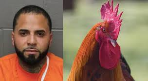 MADERA strikes AGAIN- CHANGE THE LAW & PUNISH THESE ABUSERS!!!!!!! ➡️2024  First time he got caught:  https://6abc.com/amp/galloway-township-nj-cockfighting-roosters-south-bremen-avenue/14517701/  ➡️2025 Second time he got caught: https://dailyvoice ...