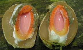 Image result for Mutinus caninus