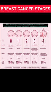 Image result for Breast Cancer Staging