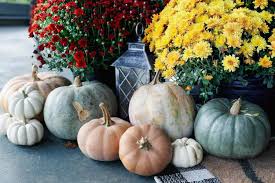 Pumpkins to Upgrade Your Fall Decor