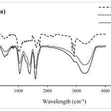 Image result for Embelia ruminata
