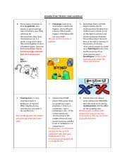 Handouts created by the amoeba sisters that correspond to amoeba sisters videos. Edpuzzle Notes Docx Ameoba Sisters On Meiosis Notes Human Sperm And Egg Cells Only Have 23 Chromosomes While Other Cells Have 46 Chromosomes The Course Hero