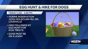 Jostle for pints at the bar and elbow your way to the front of the pygmy stage for punk, reggae and jazz gigs. Go Fetch Easter Egg Hunt For Dogs At Horine Reservation