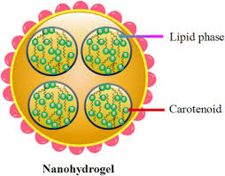 carotenoid loaded nanocarriers a