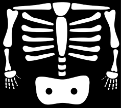 Xray Clip Art Xray Image Human Body Nervous System Xray Art Health And Physical Education