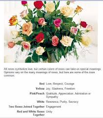Roses And Their Meanings Rose Color Meanings Yellow Rose Meaning Rose Meaning