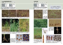全国農村教育協会 出版サイト