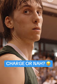 Basketball Ref Decisions: Did He Get It Right?