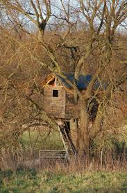 Kostenlose pdf bauanleitungen wer gerne und viel selber baut und bastelt, ist sicherlich immer auch auf der suche. Baumhaus Und Sandkasten Bauen Worauf Sie Achten Mussen