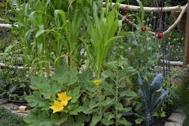 Rosemary also enjoys the company of beans, cabbage, and hot peppers. Companion Planting With Companion Planting Chart