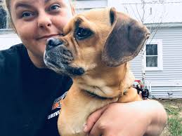 I'm so proud to have produced such a awesome pup. He's a tank and so calm