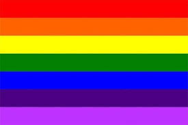 A pride flag is any flag that represents a segment or part of the lgbt community. 30 Different Pride Flags And Their Meaning Lgbtq Flags Names