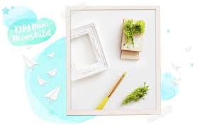 Diy weihnachtliche teelichter mit versteckter botschaft einfach, schnell selber machen / basteln. Diy Mini Moosbild Selber Machen Als Geschenk Eau De Collage Diy Blog Aus Koln