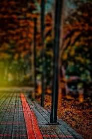 Image Dresult For Cb Edit Background Hd D Dslr Background Images Blur Background Photography Best Background Images