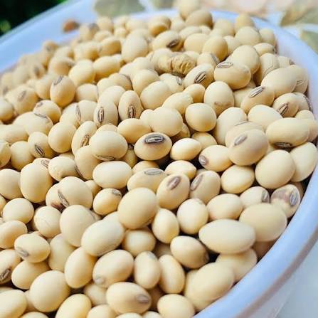 Soybean