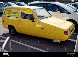 Image result for Jasmine Yellow 1994 Reliant