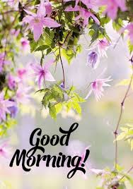 I love you very much. 740 Good Morning Flowers Ideas Good Morning Flowers Good Morning Good Morning Images