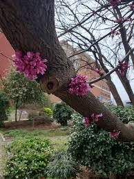 Wedding florists create beautiful arrangements to set the mood for your big day. Wild Durham Beer Fullsteam Brewery