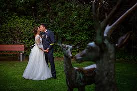 We did not find results for: Fotografos Zaragoza En Restaurante Gayarre Victor Magallon
