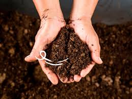 Lima genera 8 mil toneladas de basura al día y solo el 1% es reciclado. Como Hacer Compost En Casa En 5 Pasos