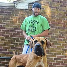 South hills motel is located in west mifflin. Pet Tales Pittsburgh Post Gazette