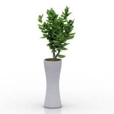 3d House Plants Plant N060715 3d Model Gsm 3ds For Interior 3d Visualization House Plants Plants 3d Model