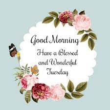 You can use these quotes to surprise her in the morning. Good Morning Tuesday Wishes Best Of Forever Quotes