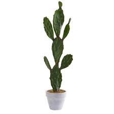 If you see purple, violet or blue flowers in a group of what appears to be flowering cacti. Nearly Natural 37 In Indoor Cactus Artificial Plant 4338 The Home Depot