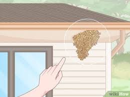 Regardless of the species, hives built inside of a tree hollow or other enclosed space outside of your home will prove difficult to. 3 Ways To Remove Bees Wikihow