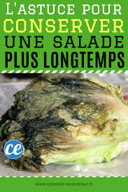Epingle Sur Conserver Les Aliments Plus Longtemps