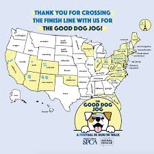 Priceless pet rescue will provide you with the necessary information and support needed. Thank You Thank You To Everyone Who Pennsylvania Spca Facebook